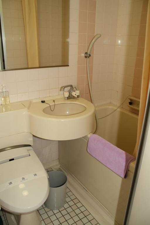Grand Toya Ryokan 3*